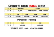 크로스핏 팀포스