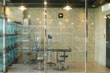 목동강아지분양 고양이분양 도그마루