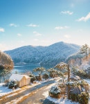 청계호수 자작나무 숲 캠핑장