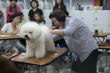 리사앤루이
