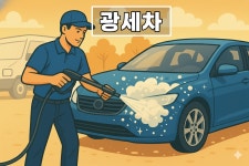 광출장세차