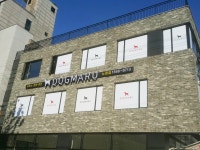 목동강아지분양 고양이분양 도그마루