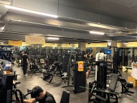 고릴라GYM 백석대점