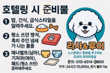 리사앤루이