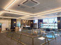 광주강아지분양 고양이분양 도그마루