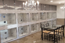 목동강아지분양 고양이분양 도그마루