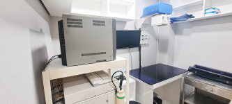 전주강아지분양 고양이분양 도그마루