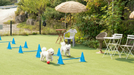 가평 아름마루 독채애견펜션