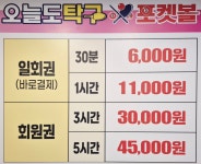 오늘도탁구&포켓볼 나주혁신점