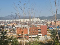 사화롯데 공인중개사사무소