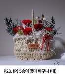 너주려고만들었다 아산모종점