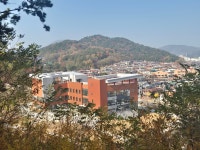 사화롯데 공인중개사사무소