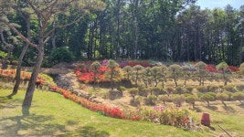 화성수목장 분양상담실