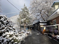 산골농원