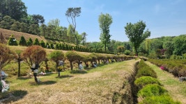 화성수목장 분양상담실