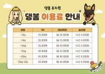 애견유치원 애견호텔 댕봄