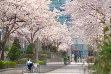 세븐일레븐 NewWaveOrigin점