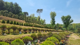 화성수목장 분양상담실