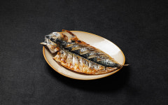 제주청기와장어