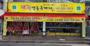 돼지영농후계자 다운점