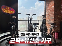 아워킥복싱PT
