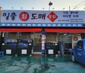 일출회도매