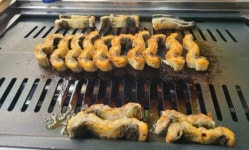 지중해자연산민물장어