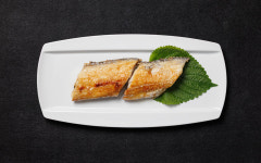 제주청기와장어