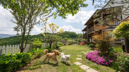 아트 애견동반 펜션