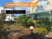 바라나시책골목 서점&북카페