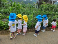 라임오렌지어린이집