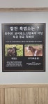 힘찬흑염소