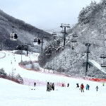 오투리조트 스키장