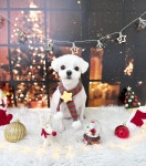 뽀프퍼피 구미 문성점