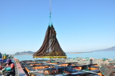 누리영어조합법인