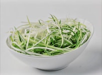 몽두마리치킨 사하구점