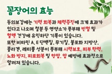 황가네숯불꼼장어 본점