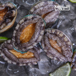 누리영어조합법인