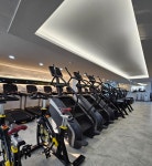 아테네휘트니스