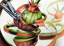 스캠퍼미술전문학원