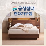 금성침대 현대가구