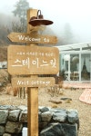 스테이느릿
