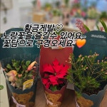 꽃담
