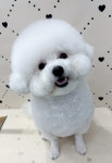 데려오개