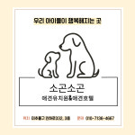 소곤소곤 애견유치원&애견호텔