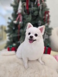 그루댕댕