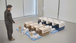 놀러오개 애견유치원 애견호텔 모현점