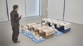 놀러오개 애견유치원 애견호텔 모현점