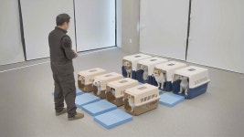 놀러오개 애견유치원 애견호텔 모현점