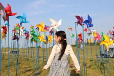 파주임진각평화곤돌라